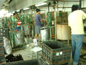 深圳市平湖海利豐塑膠制品廠 專注塑料制品，鑄就品質未來